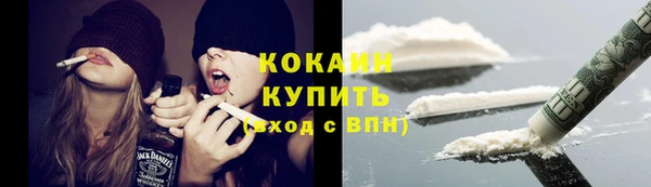 дживик Белокуриха