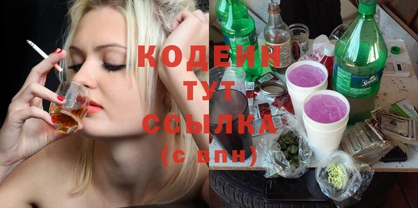 дживик Белокуриха