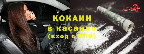 дживик Белокуриха