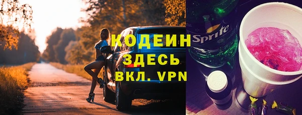дживик Белокуриха